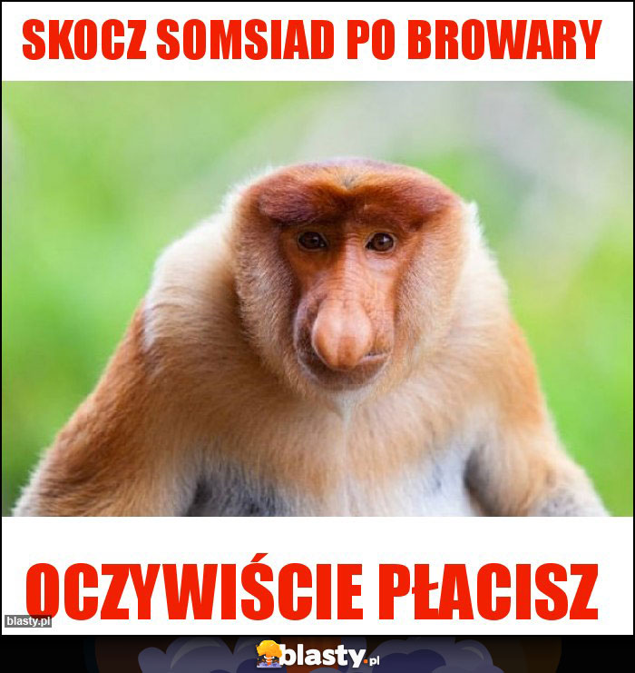 Skocz somsiad po browary