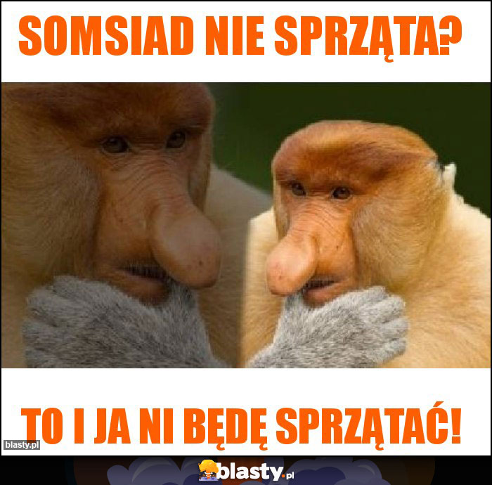 Somsiad nie sprząta?