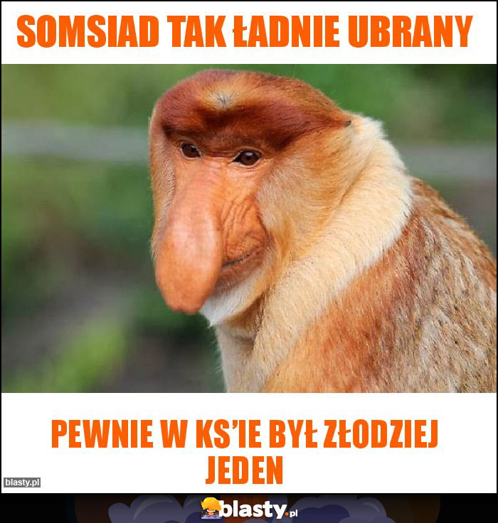 Somsiad tak ładnie ubrany