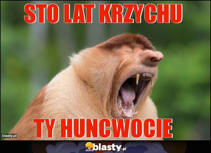 Sto lat krzychu