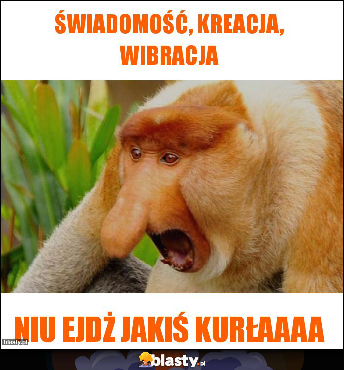 Świadomość, kreacja, wibracja