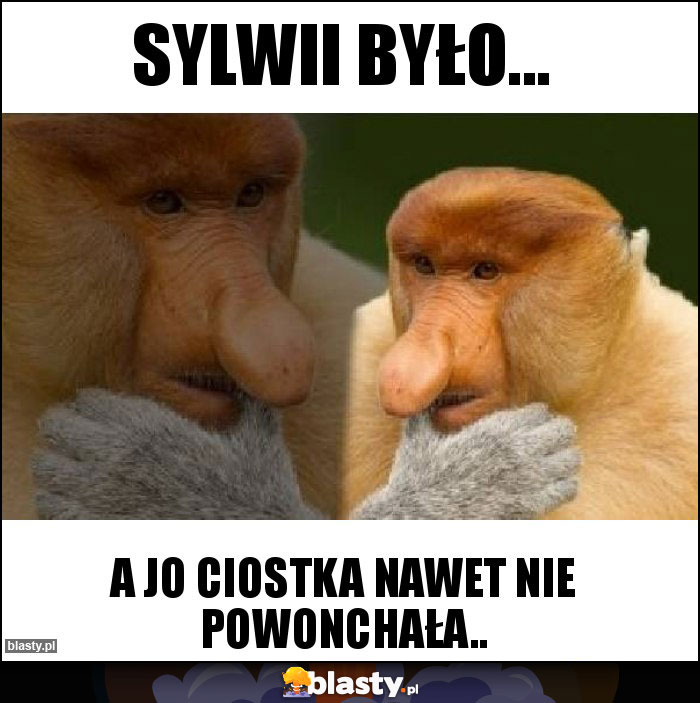 Sylwii było...