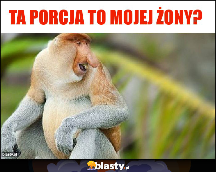 Ta porcja to mojej Żony?