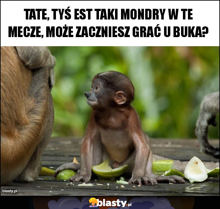 Tate, Tyś EST TAKI MONDRY W TE MECZE, MOŻE ZACZNIESZ GRAĆ U BUKA?