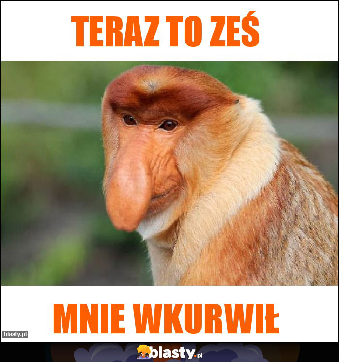 Teraz to ześ