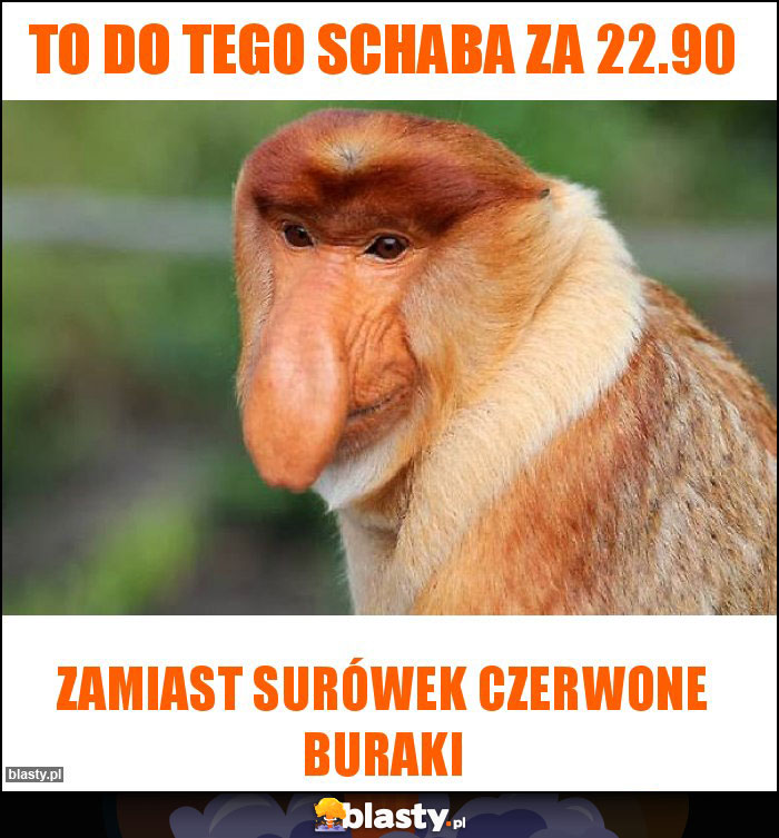 To do tego schaba za 22.90