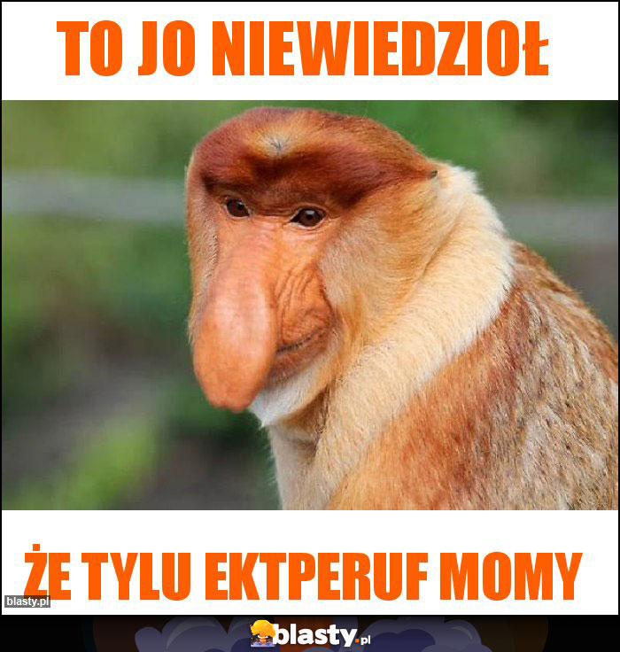 To jo niewiedzioł