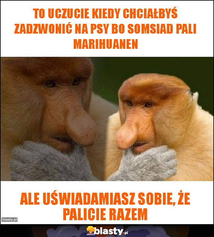 To uczucie kiedy chciałbyś zadzwonić na psy bo somsiad pali marihuanen