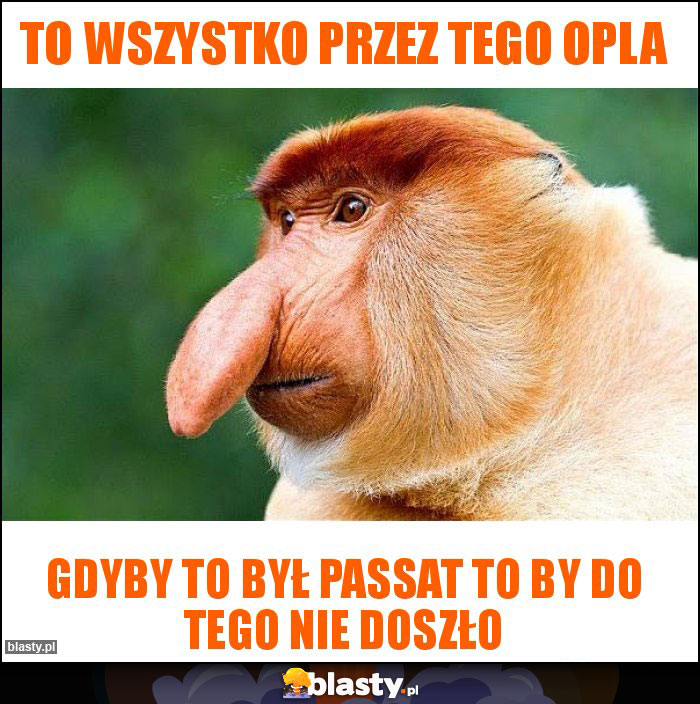 To wszystko przez tego Opla