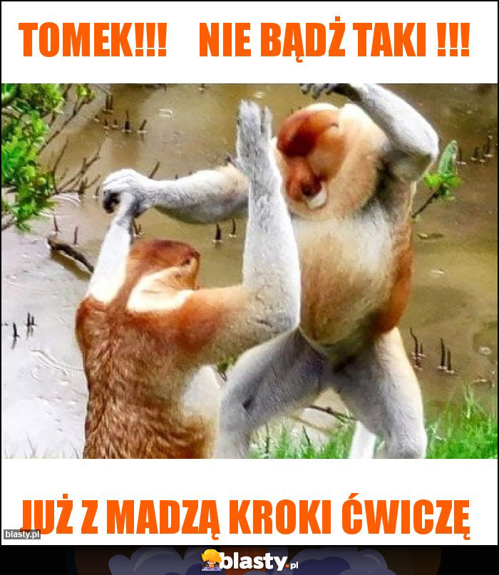 Tomek!!!    Nie bądż taki !!!