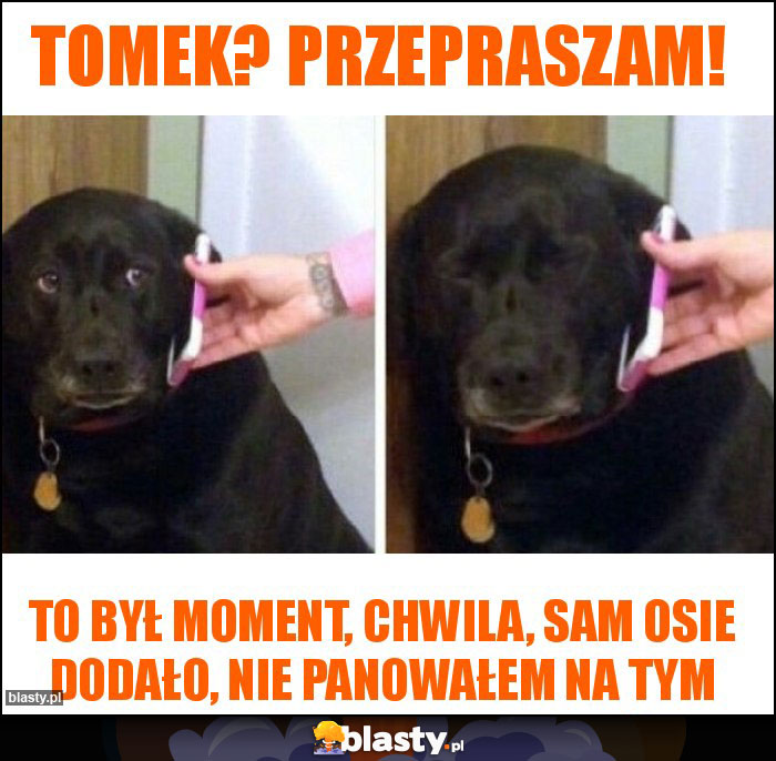 Tomek? Przepraszam!