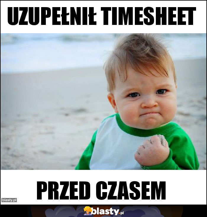 Uzupełnił Timesheet