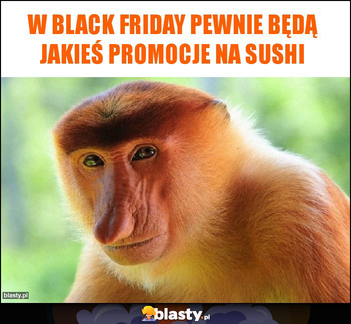 W black friday pewnie będą jakieś promocje na sushi