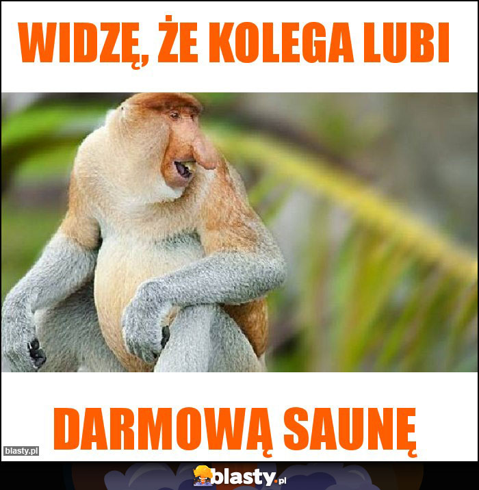 Widzę, że kolega lubi