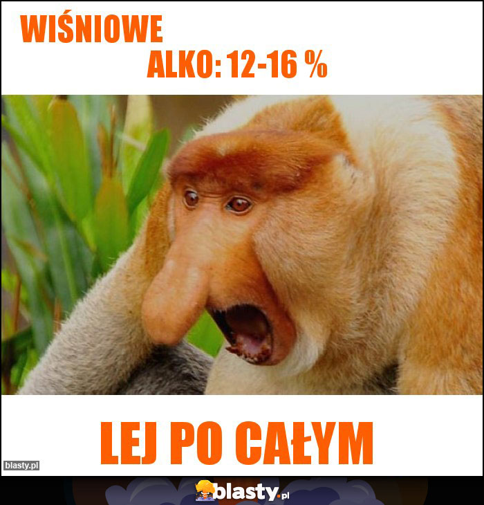 Wiśniowe                                                  Alko: 12-16 %