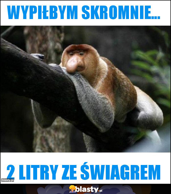 Wypiłbym skromnie...