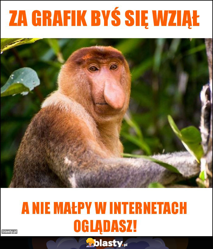 Za grafik byś się wziął