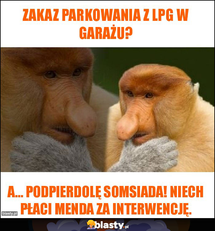 Zakaz parkowania z LPG w garażu?