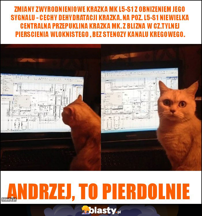 Zmiany zwyrodnieniowe krazka mk L5-S1 z obnizeniem jego sygnalu - cechy dehydratacji krazka. Na poz. L5-S1 niewielka centralna przepuklina krazka mk. z blizna w cz.tylnej pierscienia wloknistego , bez stenozy kanalu kregowego.