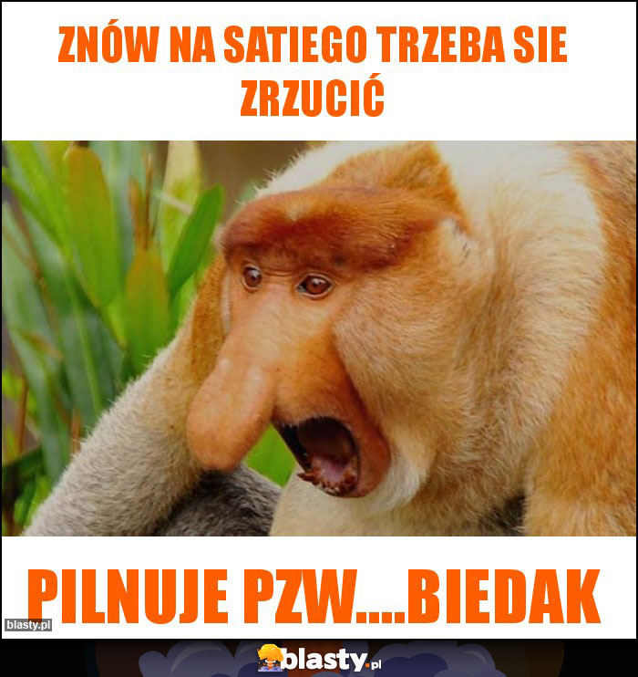 znów na satiego trzeba sie zrzucić