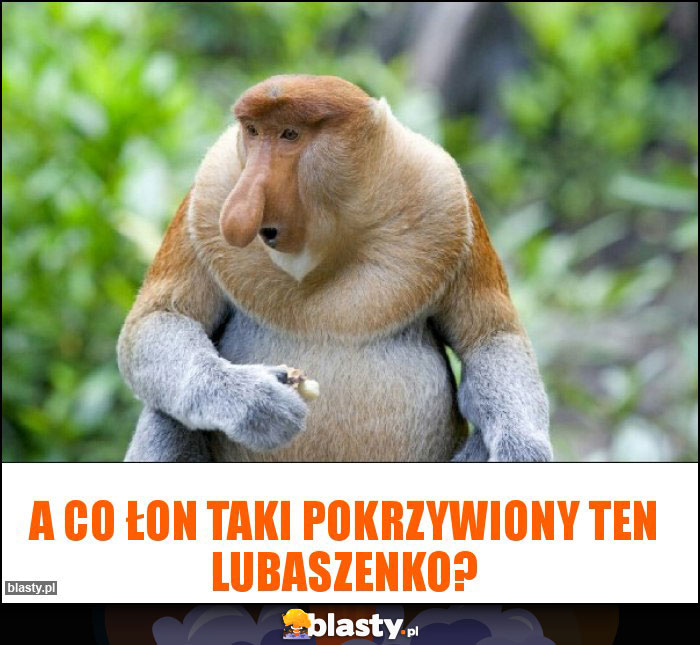 A co łon taki pokrzywiony Ten Lubaszenko?