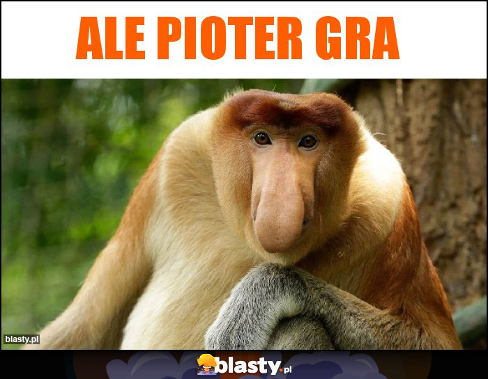 Ale pioter gra