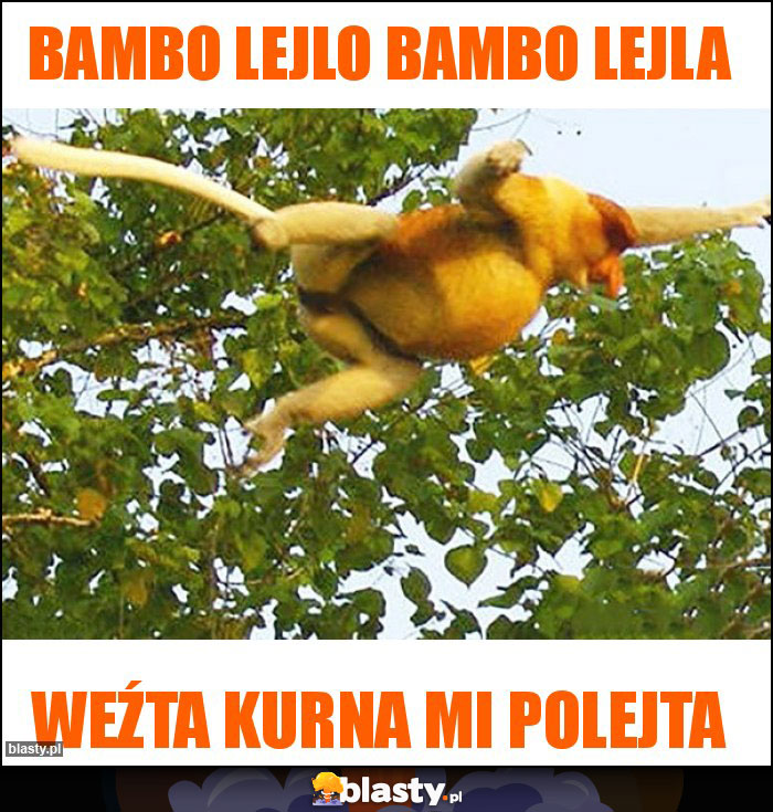 Bambo lejlo bambo lejla