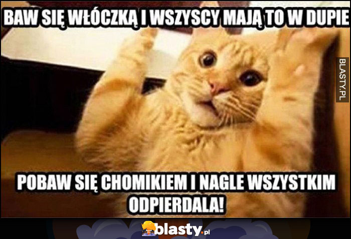 Baw się włóczką i wszyscy mają to w dupie, pobaw się chomikiem i nagle wszystkim odwala