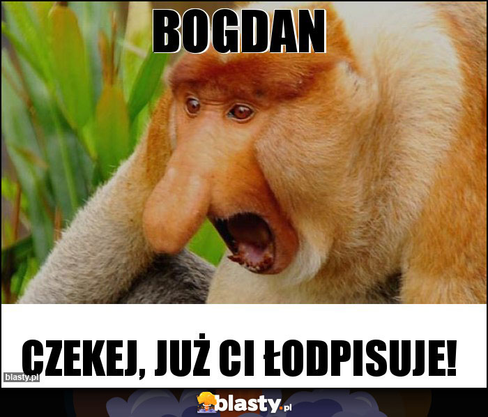 BOGDAN