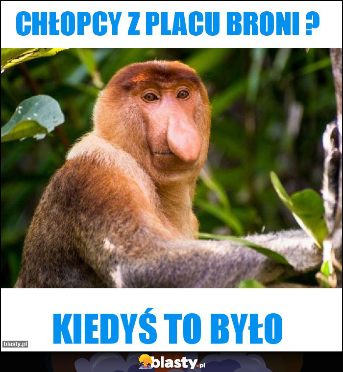 Chłopcy z placu broni ?