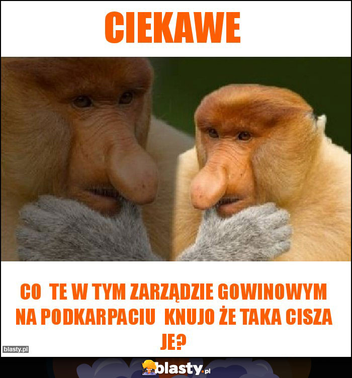 Ciekawe