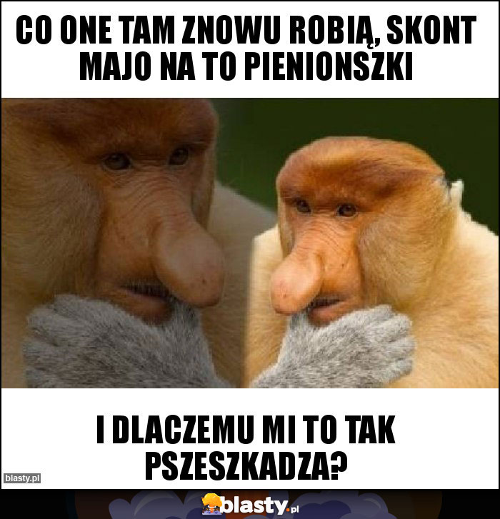 Co one tam znowu robią, skont majo na to pienionszki