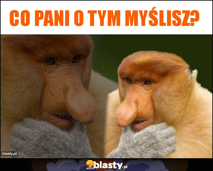 Co Pani o tym myślisz?