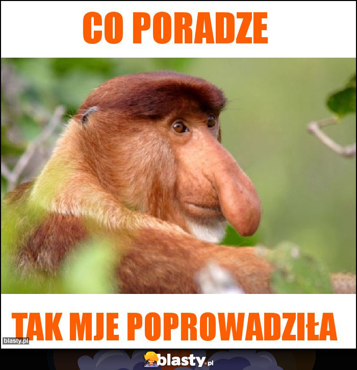 co poradze