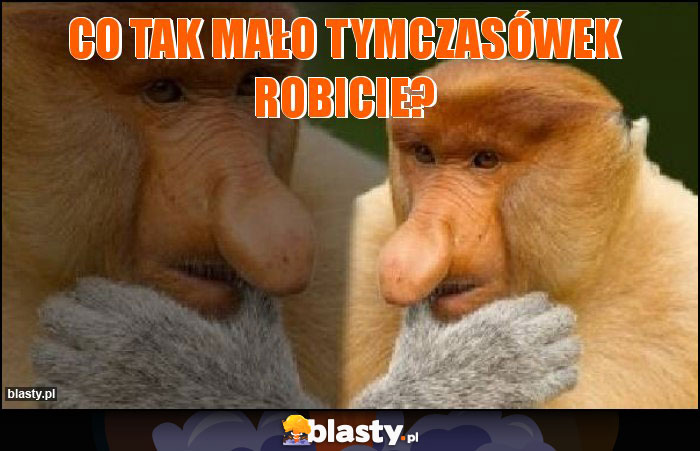 Co tak mało tymczasówek robicie?