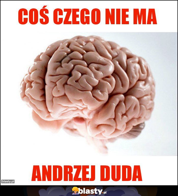 coś czego nie ma