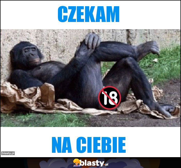 czekam