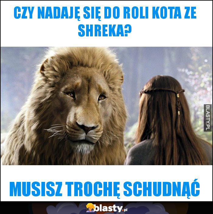 Czy nadaję się do roli kota ze Shreka?