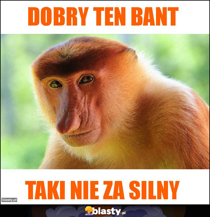 Dobry ten bant