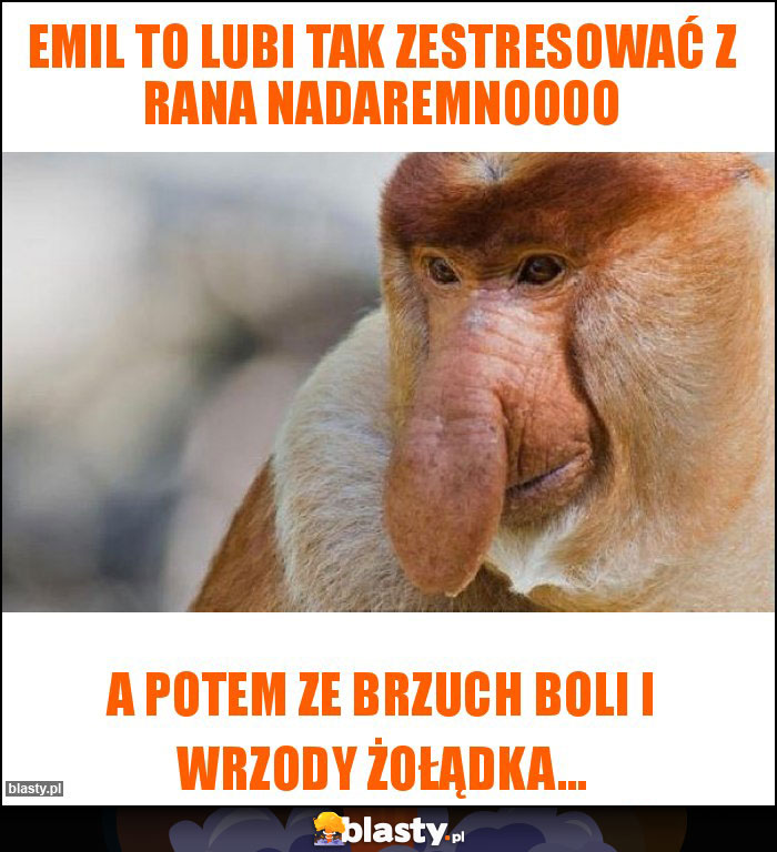 Emil to lubi tak zestresować z rana nadaremnoooo