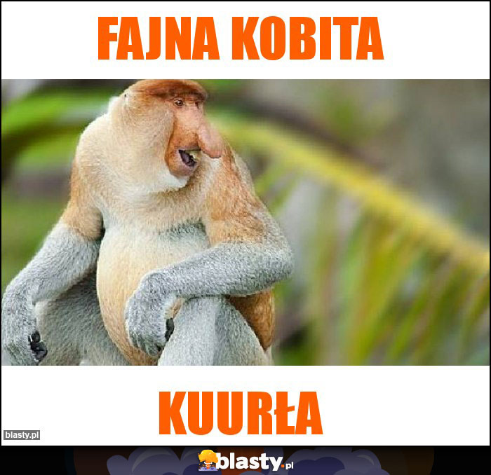 Fajna Kobita