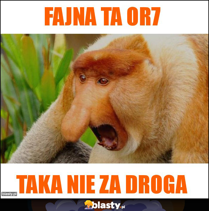 Fajna ta OR7