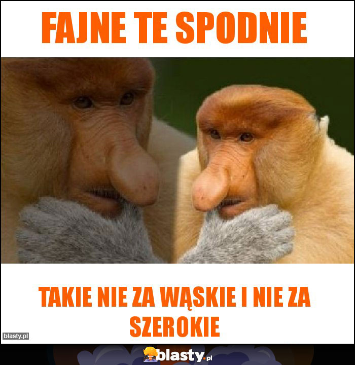 Fajne te spodnie