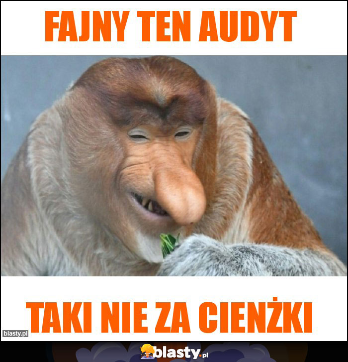 FAJNY TEN AUDYT