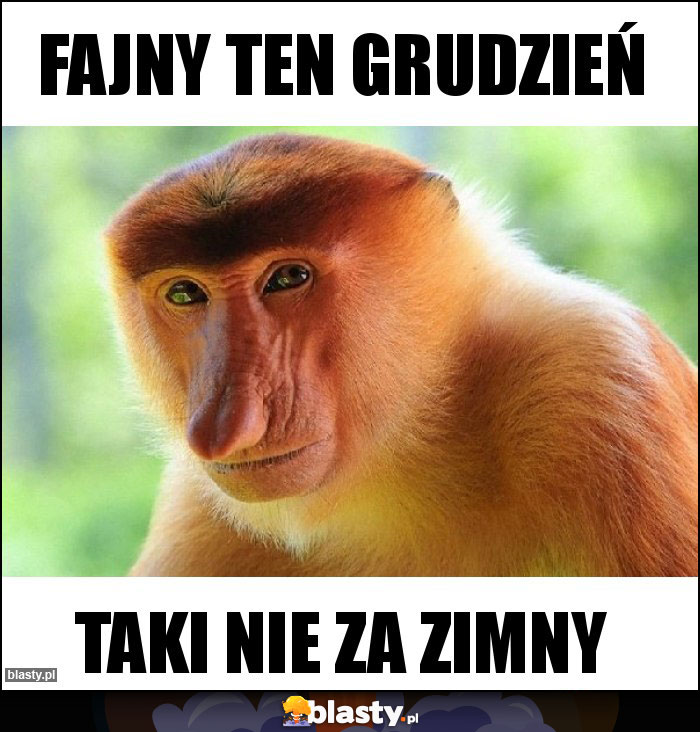 Fajny ten grudzień