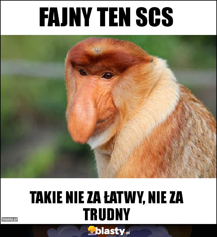 Fajny ten SCS