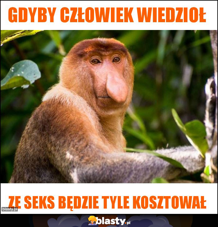 Gdyby człowiek wiedzioł