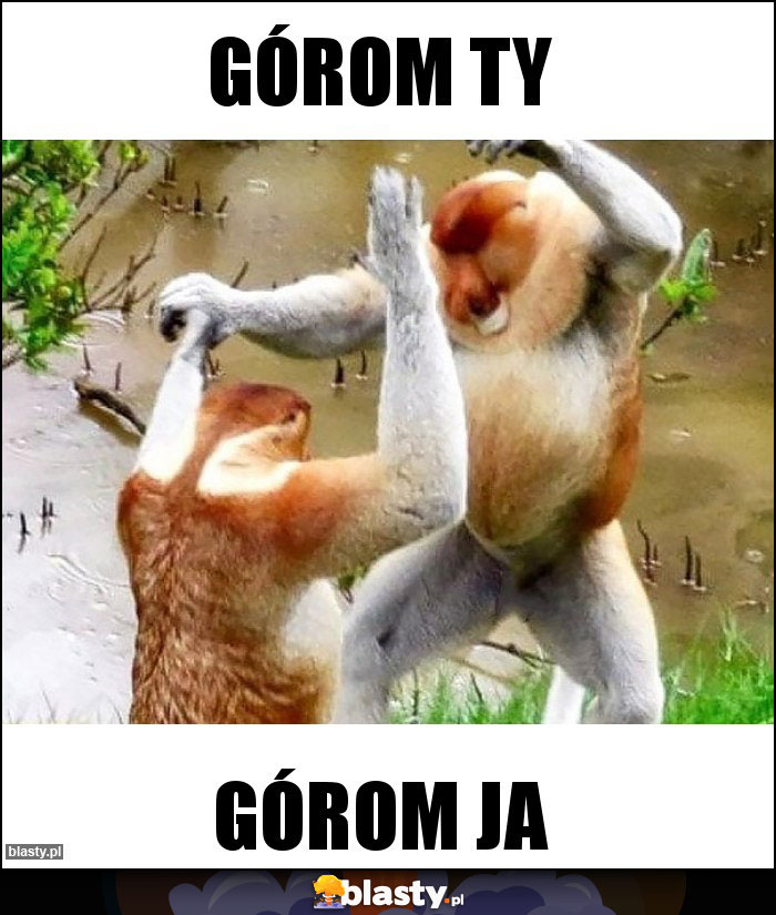 GÓROM TY