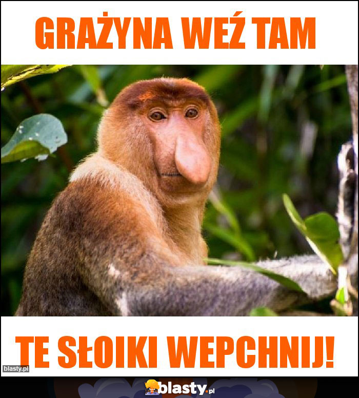 Grażyna weź tam