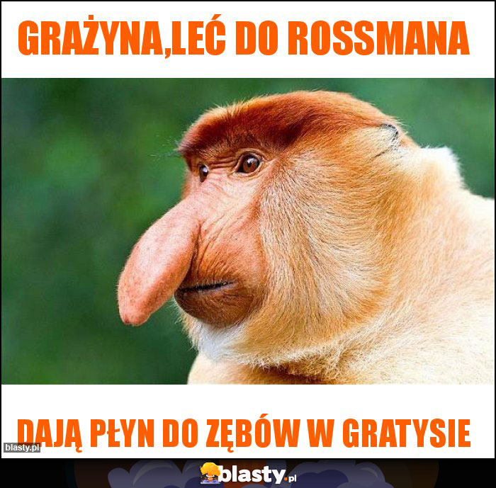 Grażyna,leć do rossmana